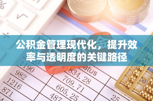 平山公积金管理现代化，提升效率与透明度的关键路径