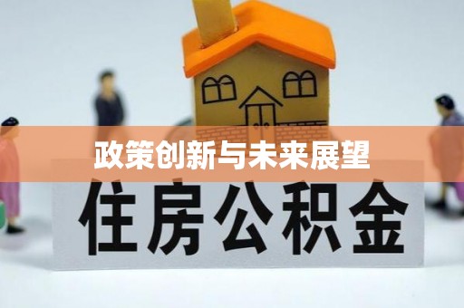 平山政策创新与未来展望